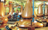 Visit Scotland?s Favourite Whisky Town